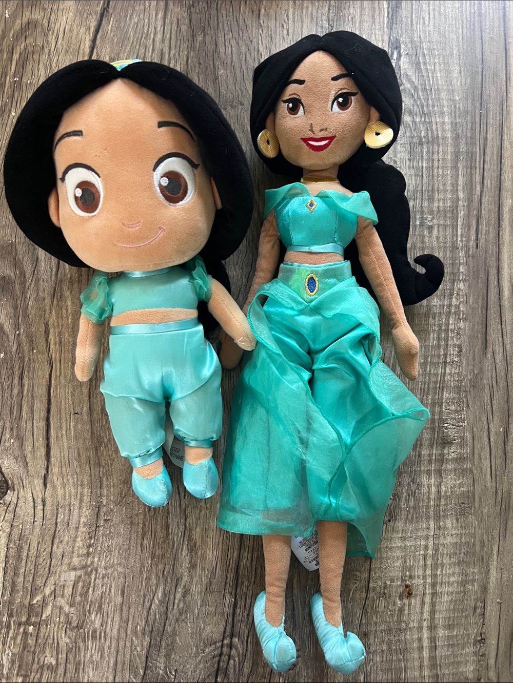 Disney Princess Jasmine Duo